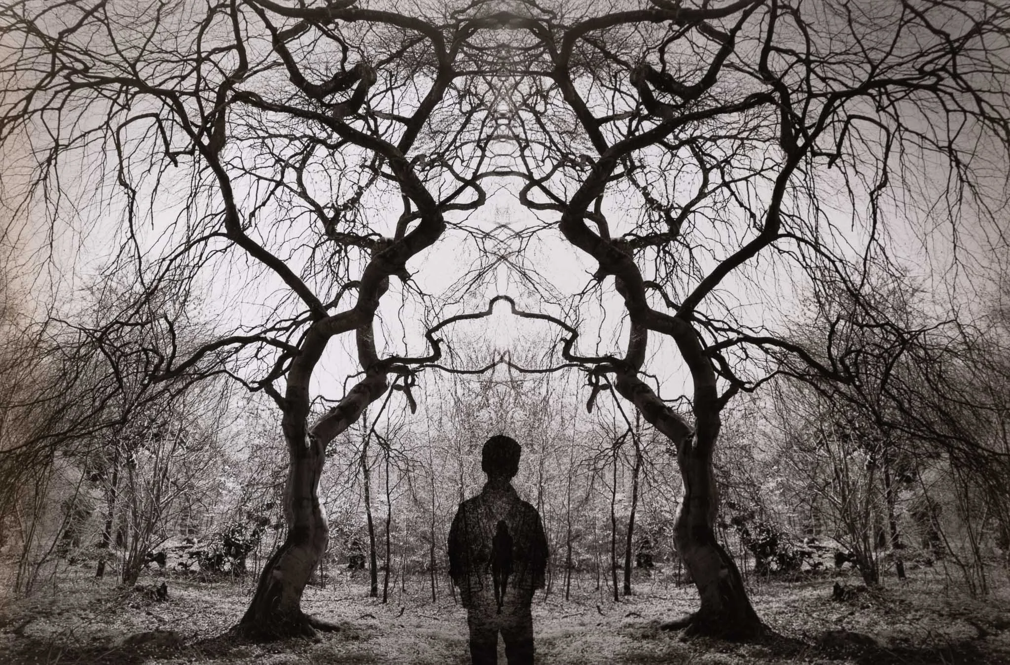 American Jerry Uelsmann — The Ashley Gibson Barnett Museum of Art